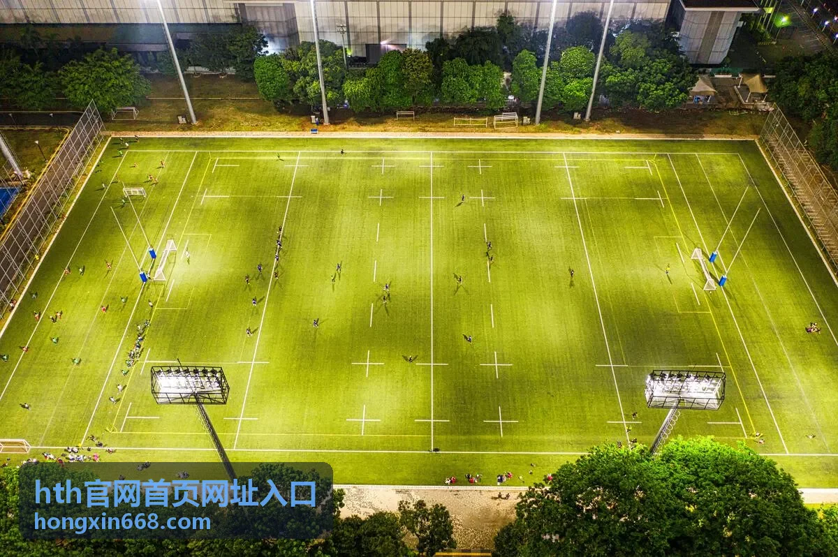 hth官网首页网址入口 手机端访问要点说明