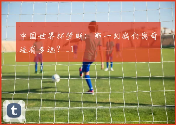 中国世界杯梦断：那一刻我们离奇迹有多远？_1
