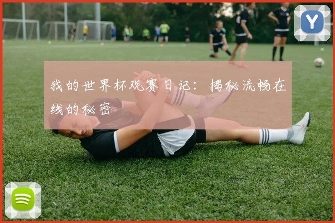 我的世界杯观赛日记：揭秘流畅在线的秘密